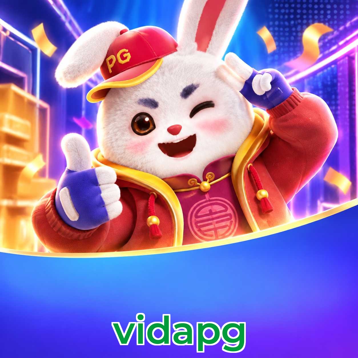 vidapg KYC Verification