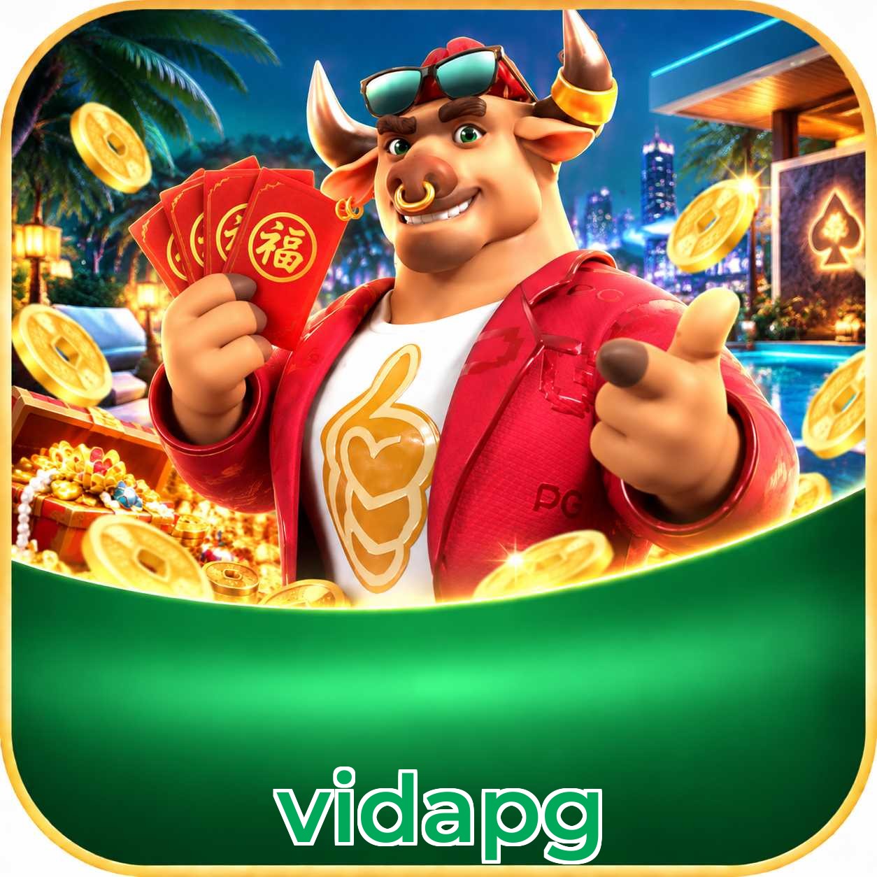 vidapg Logo