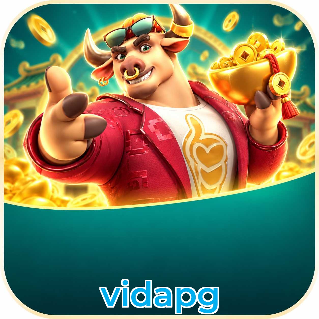 vidapg System Requirements