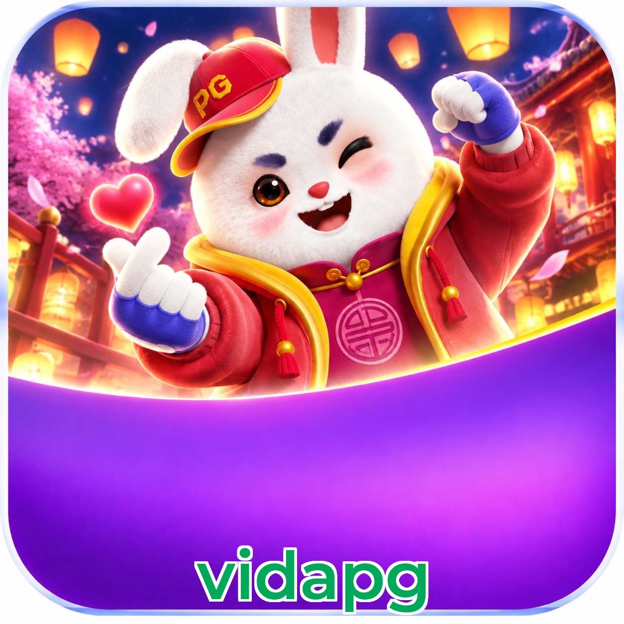 vidapg FAQ instalar app
