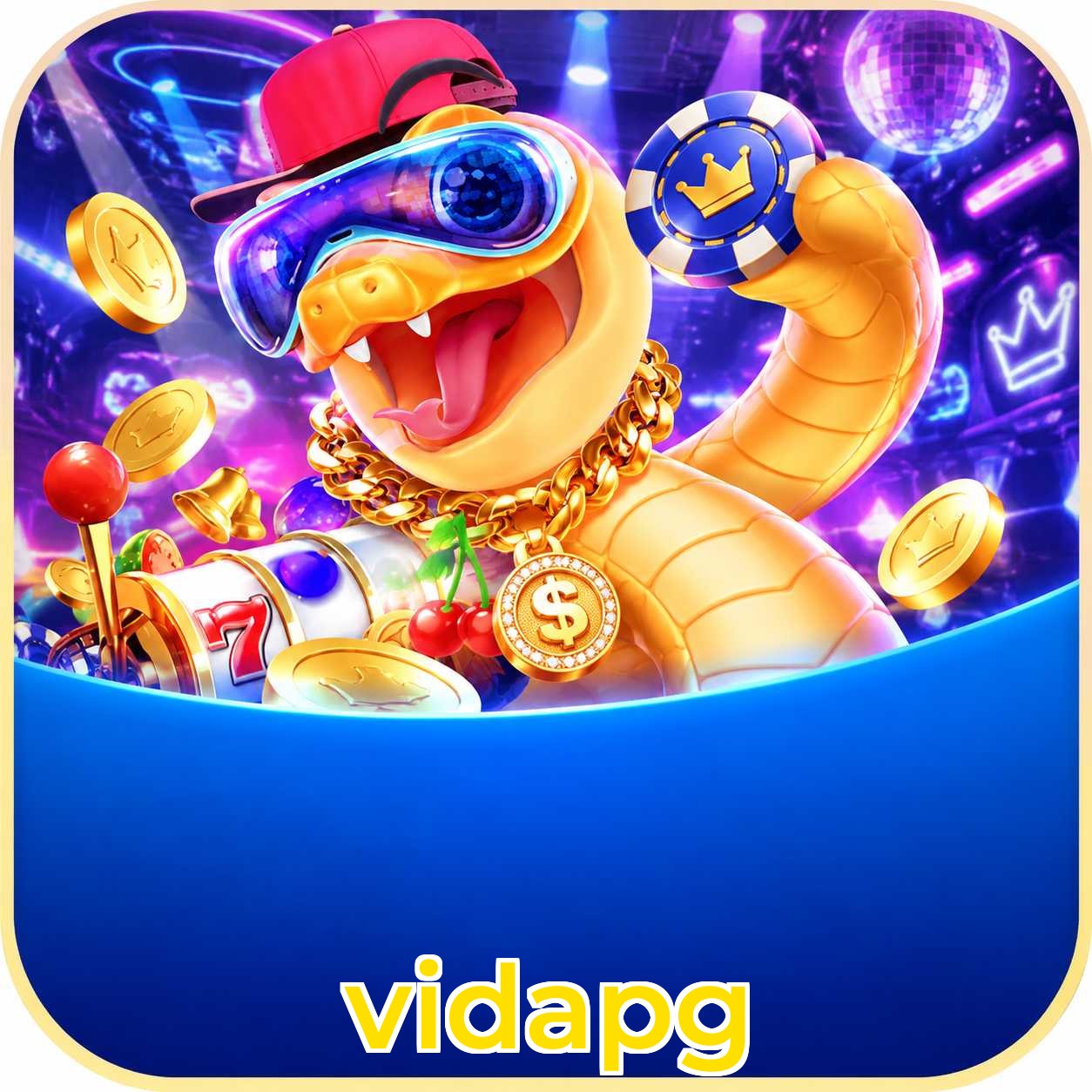 vidapg Performance