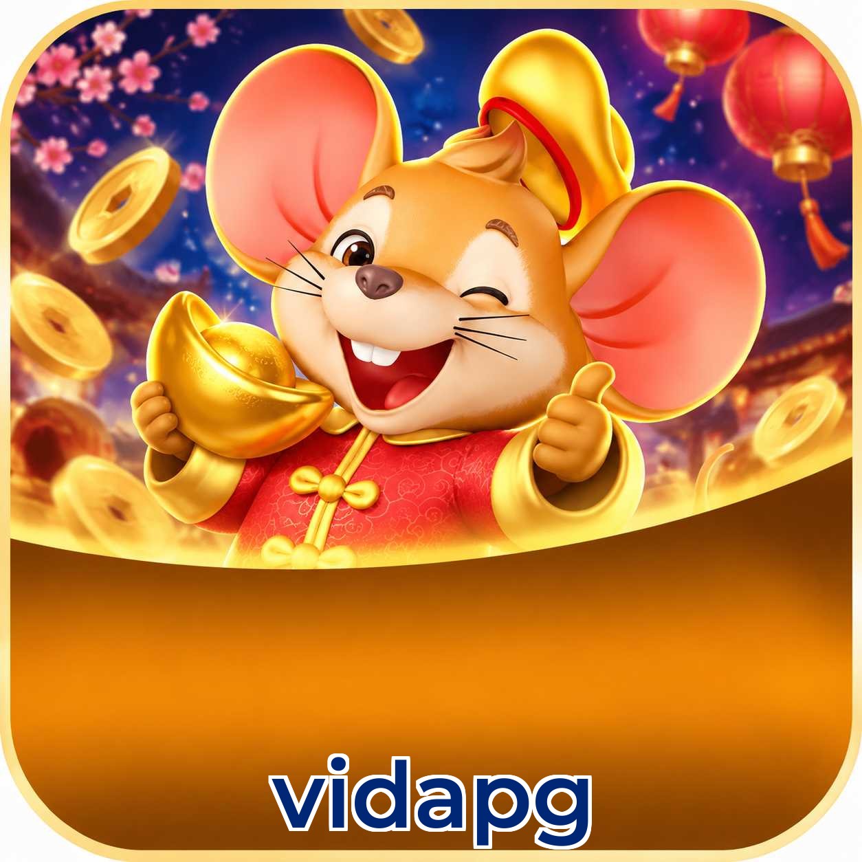 vidapg Logo