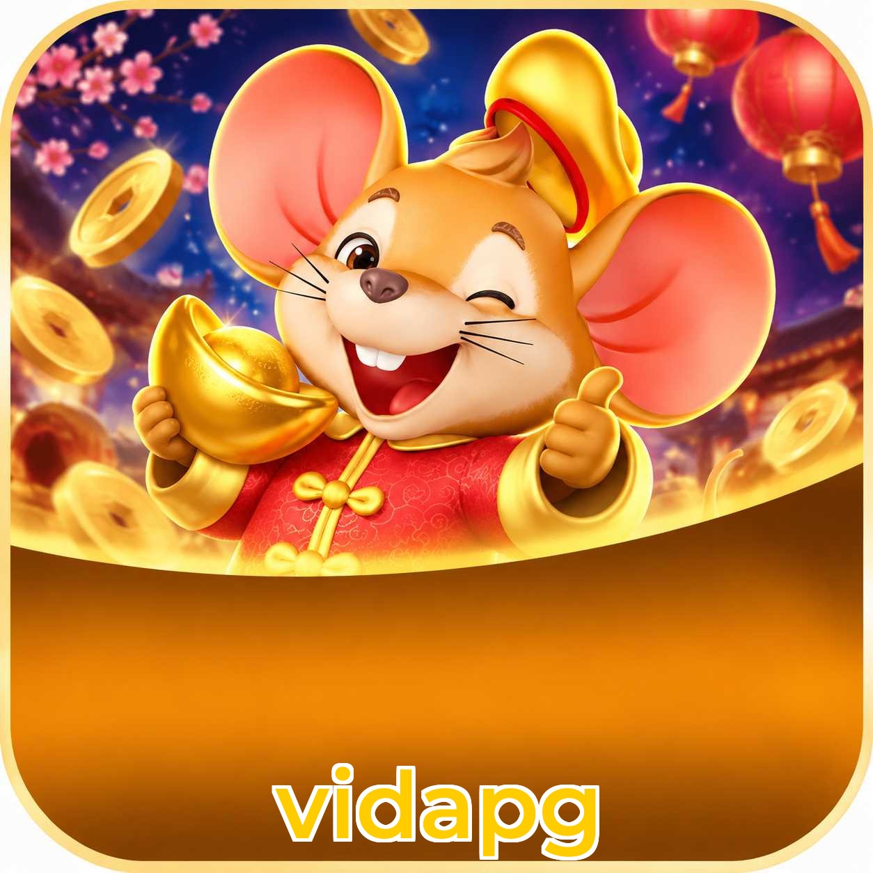 vidapg Suporte
