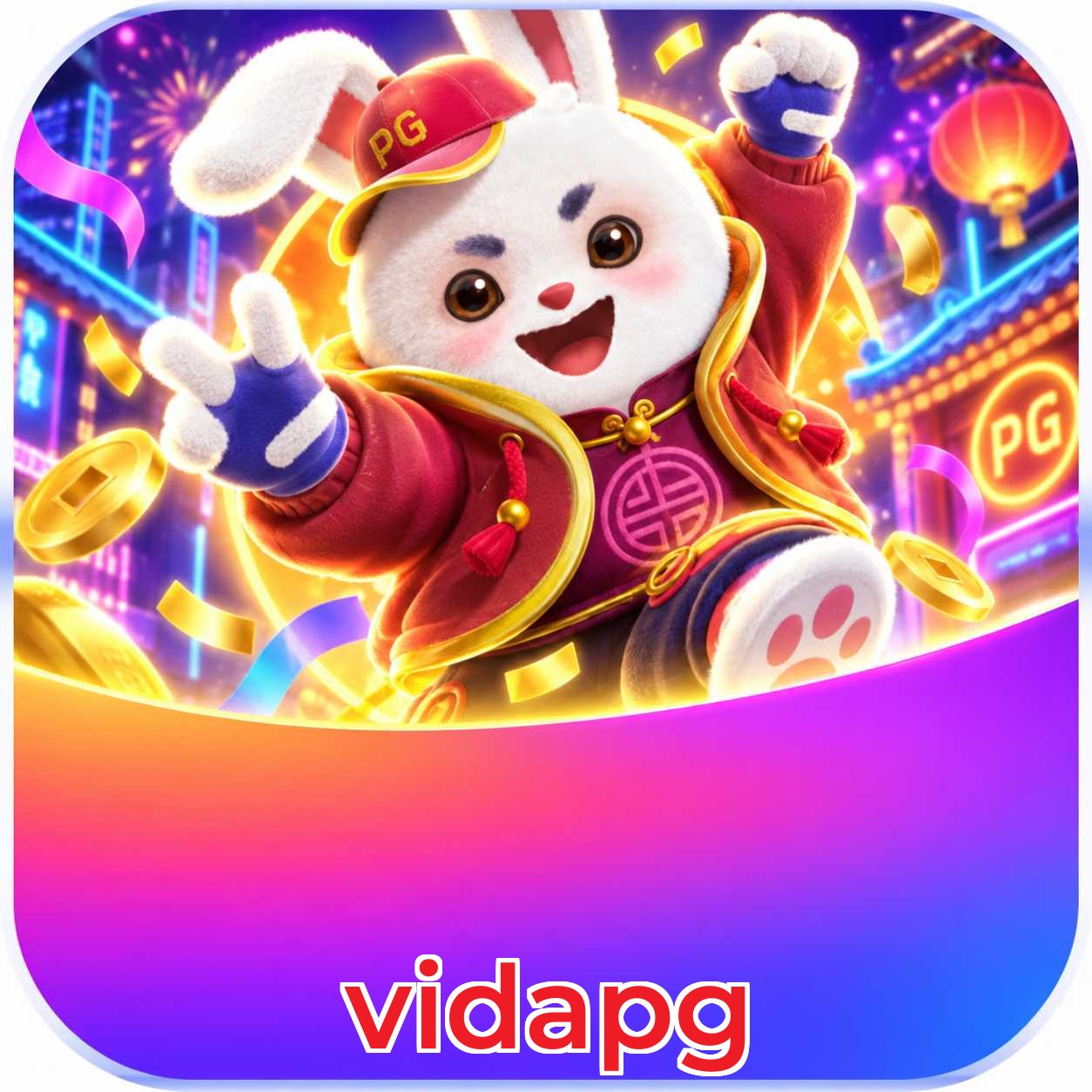 vidapg FAQ