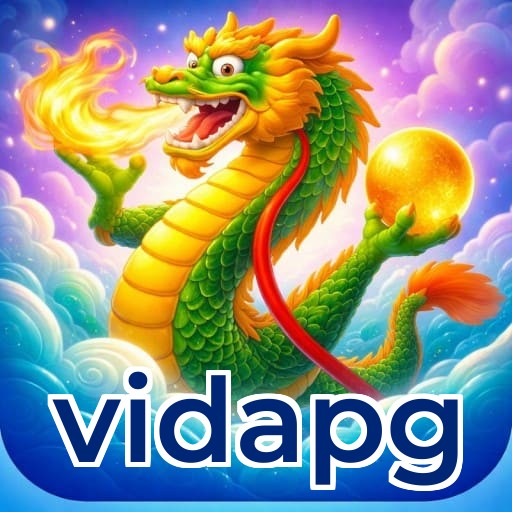 Resumo do fluxo de instalação do app vidapg — ilustração editorial